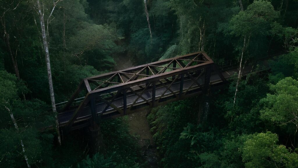 forest 16.9 (upscaled)